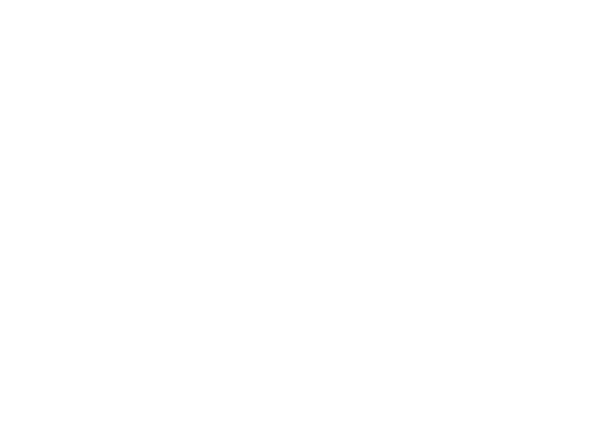 Auto Match Consulting